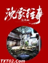 沈家往事 金凤 TXT全文 全本完结