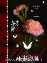 坏劣狗血[巧取豪夺] 岁岁长吉 TXT全文 全本连载