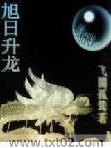 旭日升龙 飞阁孤鹜 TXT全文 全本完结