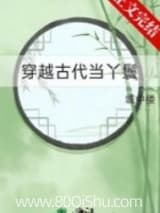 穿越古代当丫鬟 城中楼 TXT全文 全本连载
