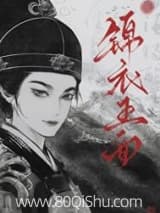 锦衣玉面 年年乐事 TXT全文 全本连载