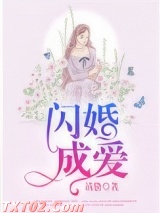 闪婚成爱 清蛰 TXT全文 全本完结