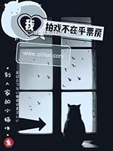 我拍戏不在乎票房 别人家的小猫咪 TXT全文 全本完结