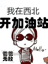 我在西北开加油站 爸爸无敌 TXT全文 全本完结