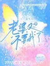 重生后，老婆又不要我了小说,重生后，老婆又不要我了 野梦之梦 TXT全文 全本连载
