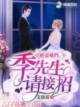 娇妻难挡,季先生请接招 艾依瑶 TXT全文 全本完结