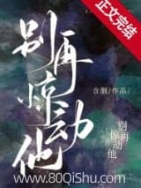 别再惊动他 含胭 TXT全文 全本连载