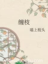 缠枝 喵上枝头 TXT全文 全本连载