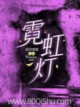 霓虹灯 旧月安好 TXT全文 全本连载