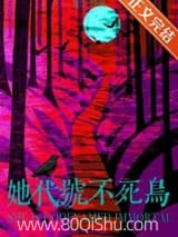 她代号不死鸟[御兽] 不宴山 TXT全文 全本连载