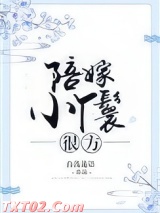 陪嫁小丫鬟很方 白浅迷语 TXT全文 全本完结