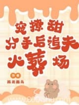 宠!撩!甜!分手后追夫火葬场 孤鸢画鸟 TXT全文 全本连载