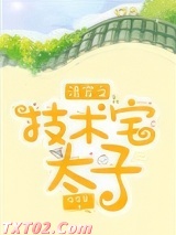 清穿之技术宅太子 痒痒鼠 TXT全文 全本完结