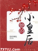 他的小皇后 纷纷和光 TXT全文 全本完结