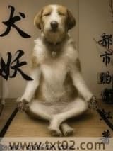犬妖 都市的霓红 TXT全文 全本完结