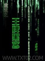 重生之王牌黑客 一盏绿茶 TXT全文 全本完结