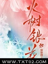 火树银花 徐徐图之 TXT全文 全本完结