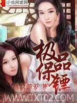 极品保镖 冰皇傲天 TXT全文 全本完结