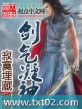 剑气凝神 寂寞埋藏 TXT全文 全本完结