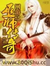 网游之巫师传奇 壬辰 TXT全文 全本连载