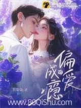 偏爱成瘾 管柒柒 TXT全文 全本连载
