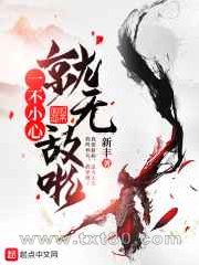 一不小心就无敌啦 新丰 TXT全文 全本完结