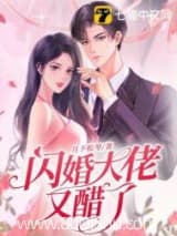 闪婚大佬又醋了 月下松琴 TXT全文 全本连载