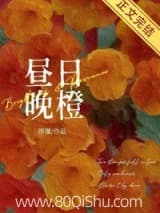昼日晚橙 浮瑾 TXT全文 全本连载