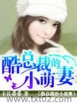 酷总裁的小萌妻 卡其希希 TXT全文 全本完结