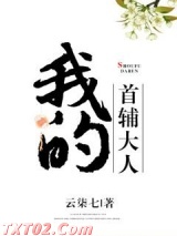 我的首辅大人 言讱云柒七 TXT全文 全本完结