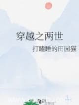 穿越之两世 打瞌睡的田园猫 TXT全文 全本连载