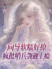 向导软糯好撩,疯批哨兵觊觎上瘾  TXT全文 全本连载
