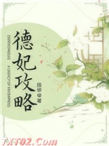 德妃攻略(清宫) 田甲申 TXT全文 全本完结