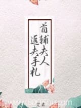 首辅夫人追夫手札 怀狸 TXT全文 全本连载