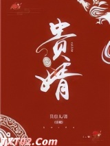 贵婿 笑佳人 TXT全文 全本完结