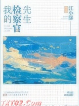 我的检察官先生 江小绿 TXT全文 全本完结
