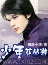 少年花丛游 糖醋小猪 TXT全文 全本完结