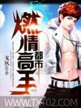 都市燃情高手 戈夙 TXT全文 全本完结