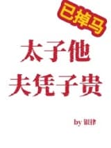太子他夫凭子贵 银律 TXT全文 全本连载