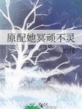 原配她冥顽不灵 淼淼金焰绯 TXT全文 全本连载