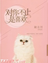 对你不止是喜欢 陌言川 TXT全文 全本完结
