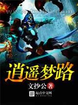 逍遥梦路 文抄公 TXT全文 全本完结