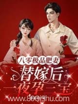 八零极品肥妻,替嫁后一夜孕三宝小说,八零极品肥妻,替嫁后一夜孕三宝 桑易易 TXT全文 全本连载