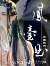 凤台曲 木更木更 TXT全文 全本连载