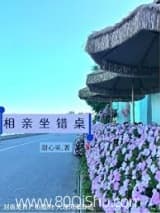 相亲坐错桌 甜心果 TXT全文 全本连载