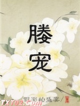 媵宠 假面的盛宴 TXT全文 全本完结