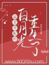温柔男配的白月光重生了 甘米儿 TXT全文 全本连载