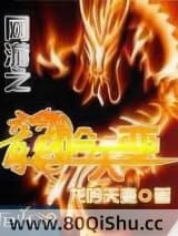 网游之龙吟天变 龙吟天变 TXT全文 全本连载