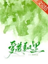 爱藏夏风里 弥萝 TXT全文 全本连载