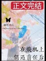 在飞机上偶遇前任后 穗雪 TXT全文 全本连载